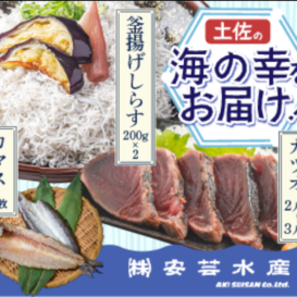 uminosachi-set1