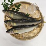 ayu
